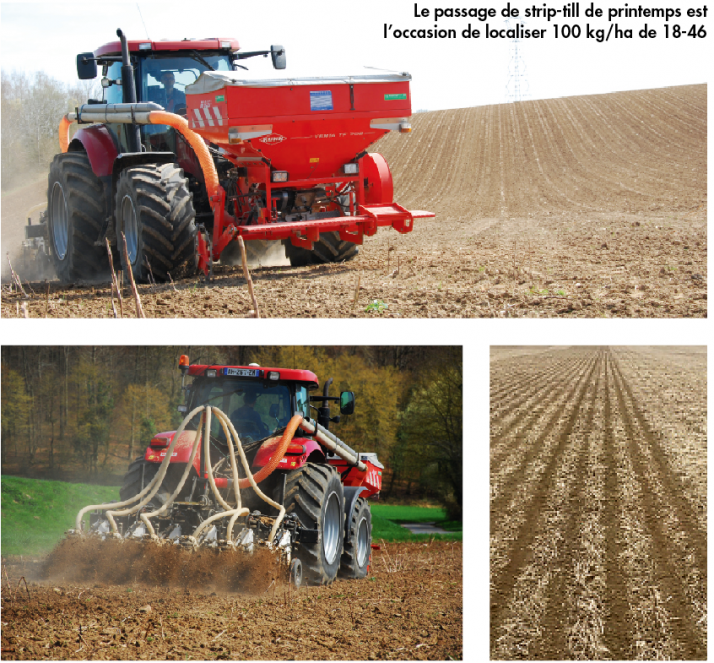 Le passage de strip-till de printemps est l’occasion de localiser 100 kg/ha de 18-46. © : Patrice L’Escop