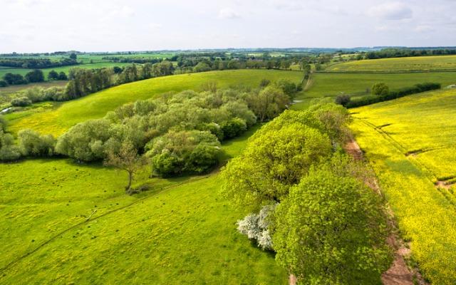 Plan biodiversitÃ©: moins de bÃ©ton, plus de vÃ©gÃ©tation