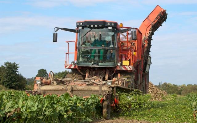 Cinq néonicotinoïdes interdits à partir de septembre