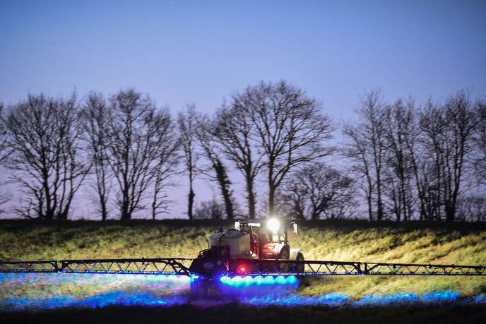 De l’herbicide glyphosate pulvérisé dans un champ de maïs à Saint-Léonard-des-Bois (Sarthe), le 21 mars 2019.